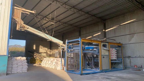 诸南面粉厂诚招全国经销商，携手共赢，共创未来